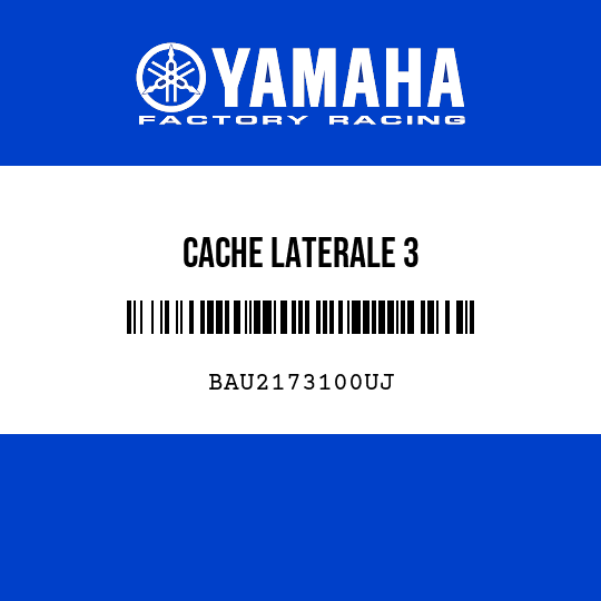 CACHE LATERALE 3