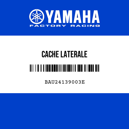 CACHE LATERALE