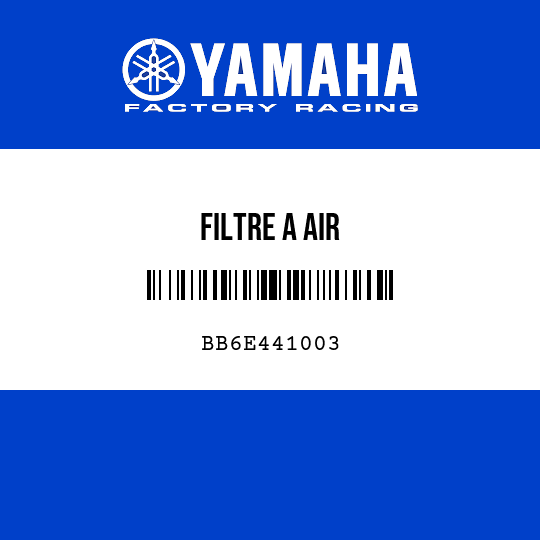 FILTRE A AIR