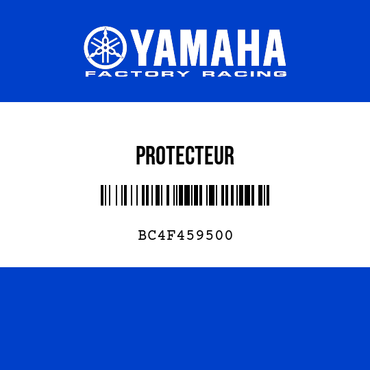 PROTECTEUR