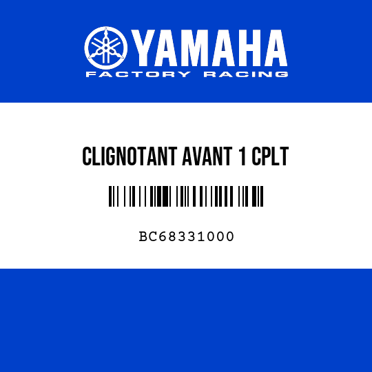 CLIGNOTANT AVANT 1 CPLT