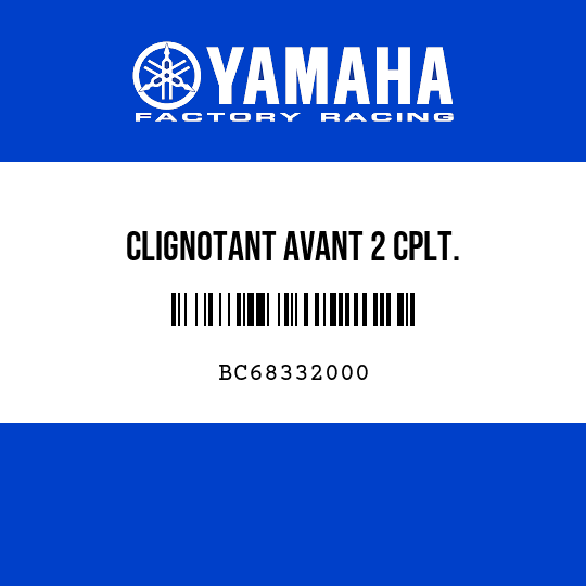 CLIGNOTANT AVANT 2 CPLT.