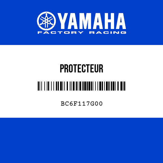 PROTECTEUR