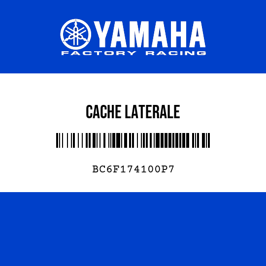 CACHE LATERALE