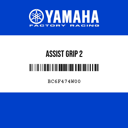 ASSIST GRIP 2