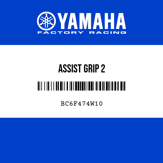 ASSIST GRIP 2