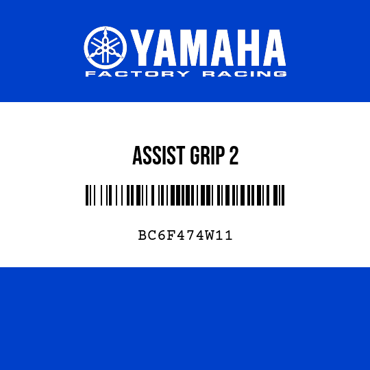 ASSIST GRIP 2