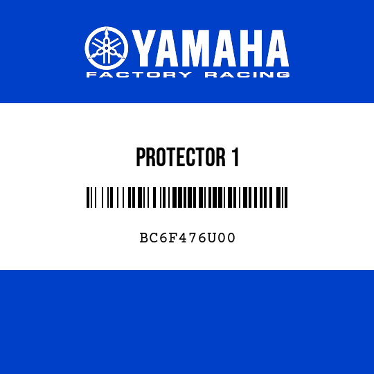 PROTECTOR 1