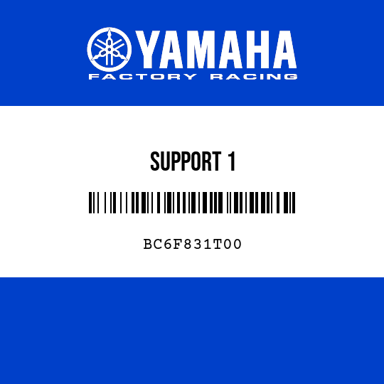 SUPPORT 1