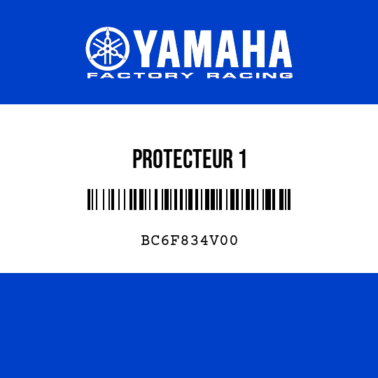 PROTECTEUR 1