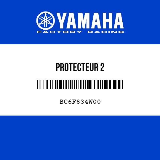 PROTECTEUR 2