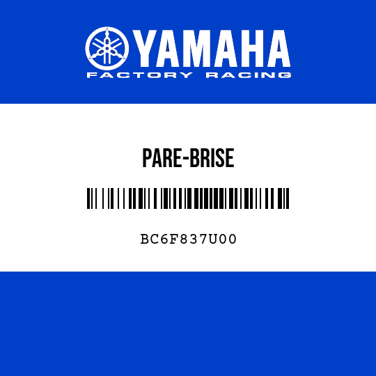PARE-BRISE