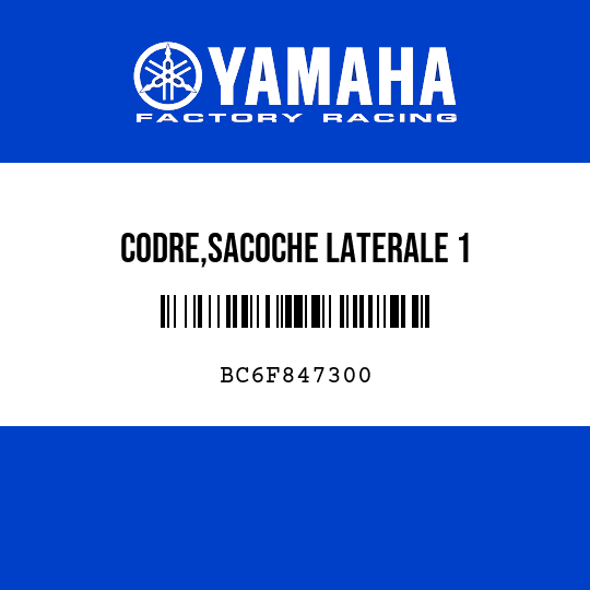 CODRE,SACOCHE LATERALE 1