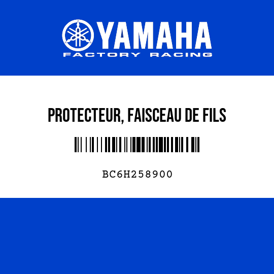 PROTECTEUR, FAISCEAU DE FILS