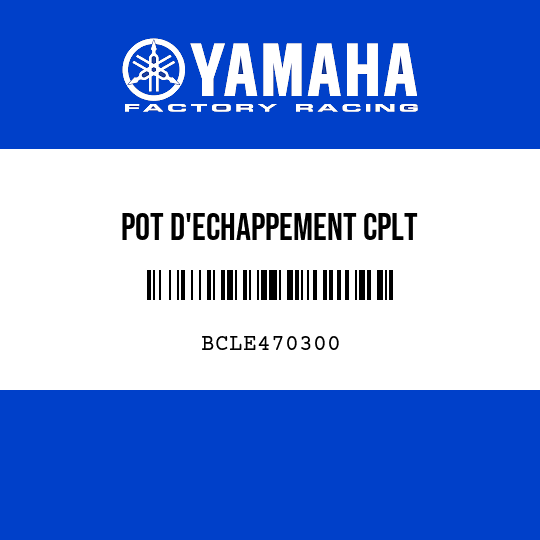 POT D'ECHAPPEMENT CPLT