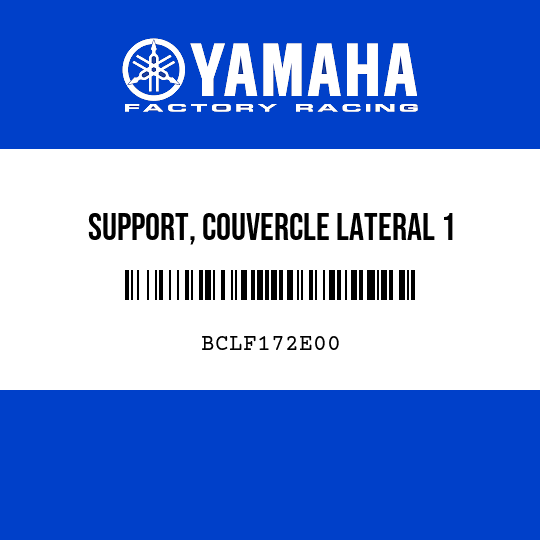 SUPPORT, COUVERCLE LATERAL 1
