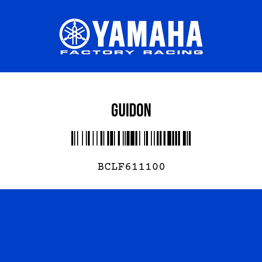 GUIDON