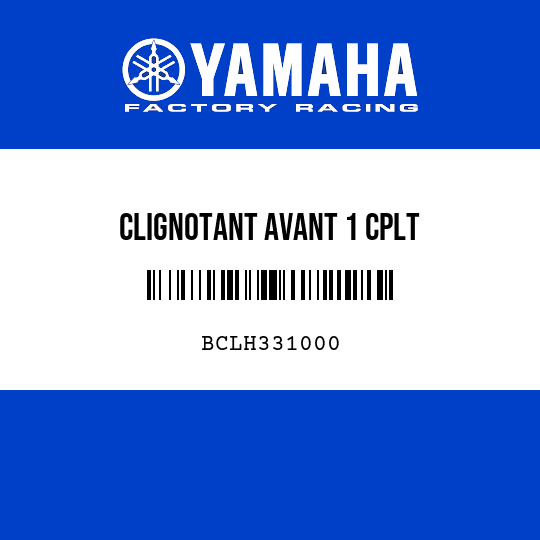 CLIGNOTANT AVANT 1 CPLT