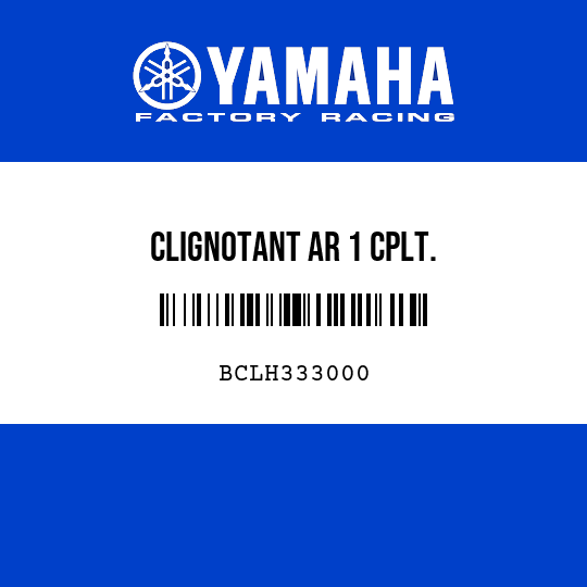 CLIGNOTANT AR 1 CPLT.