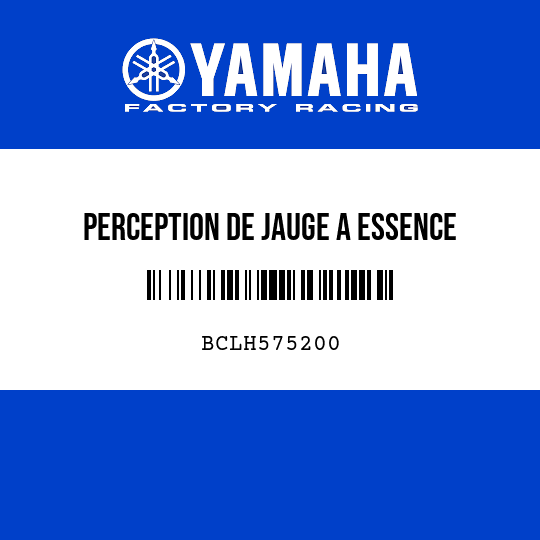 PERCEPTION DE JAUGE A ESSENCE