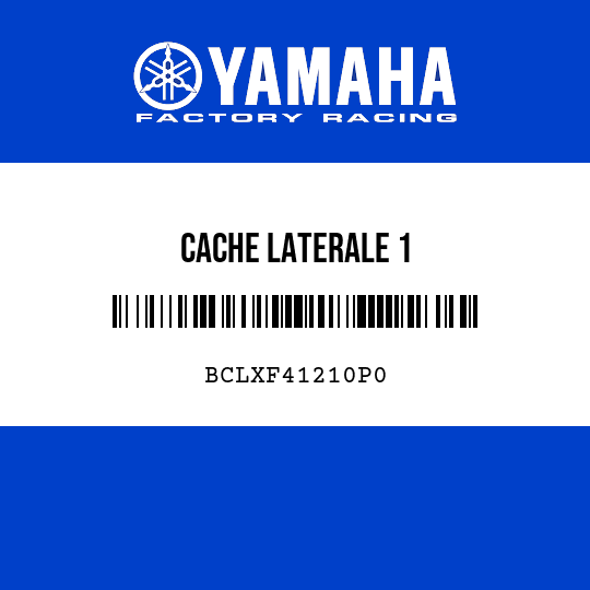 CACHE LATERALE 1