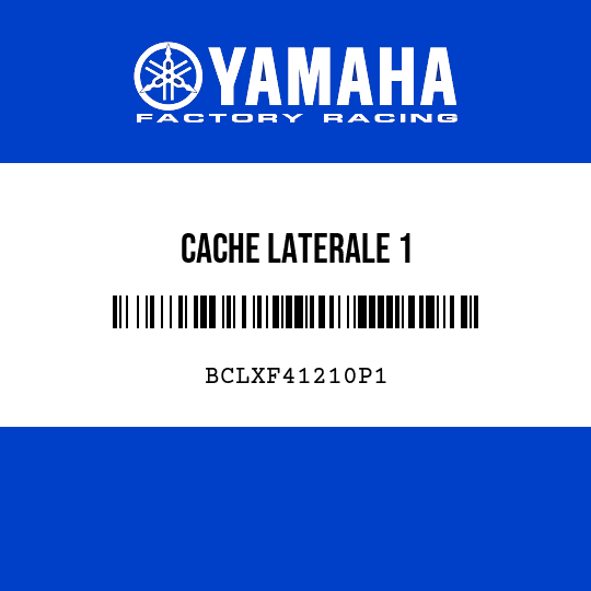 CACHE LATERALE 1