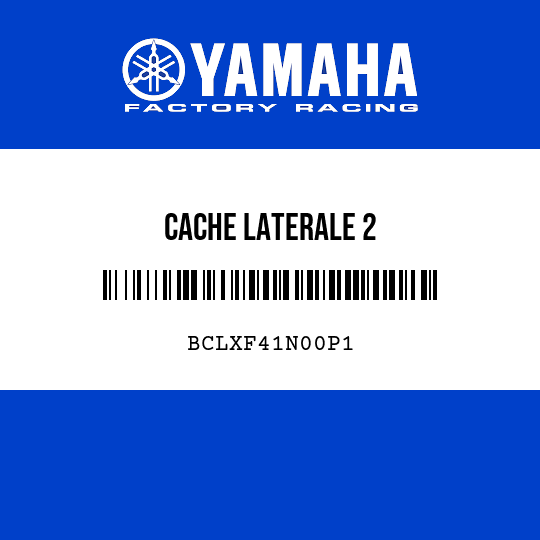 CACHE LATERALE 2