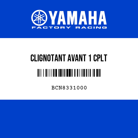 CLIGNOTANT AVANT 1 CPLT