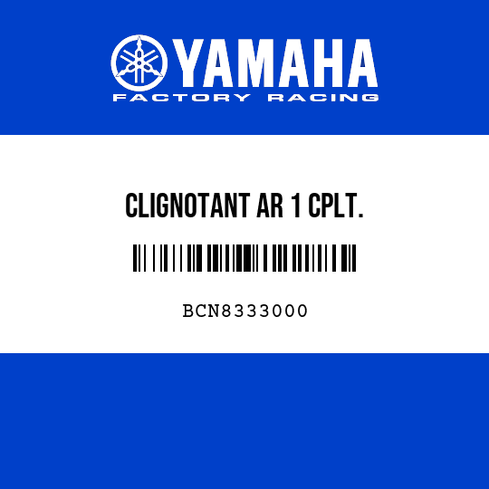 CLIGNOTANT AR 1 CPLT.