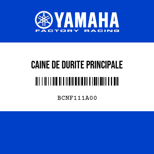CAINE DE DURITE PRINCIPALE