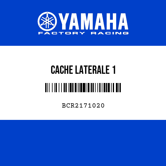 CACHE LATERALE 1