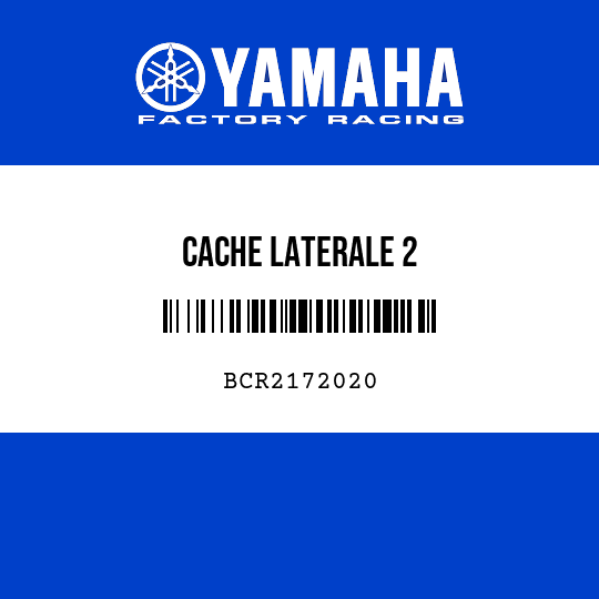 CACHE LATERALE 2