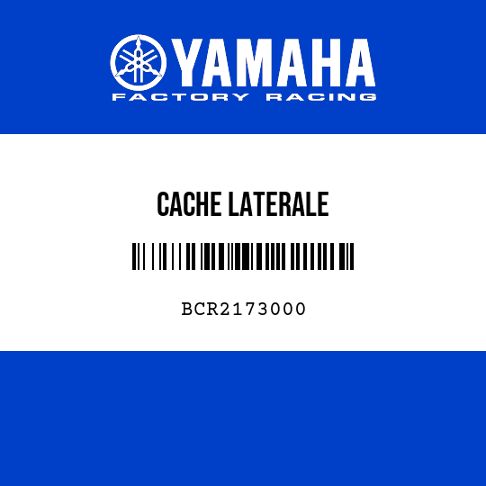 CACHE LATERALE