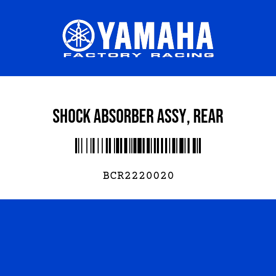 SHOCK ABSORBER ASSY, REAR