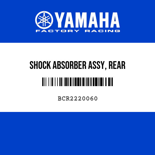 SHOCK ABSORBER ASSY, REAR