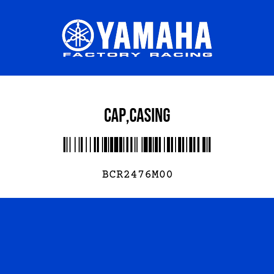 CAP,CASING