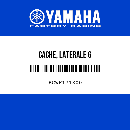 CACHE, LATERALE 6