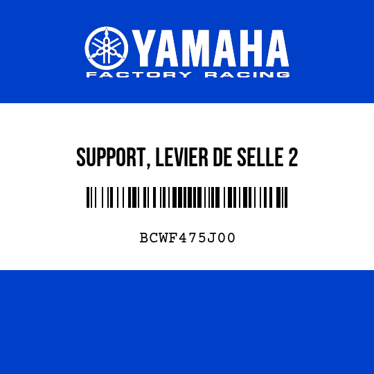 SUPPORT, LEVIER DE SELLE 2