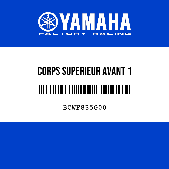 CORPS SUPERIEUR AVANT 1
