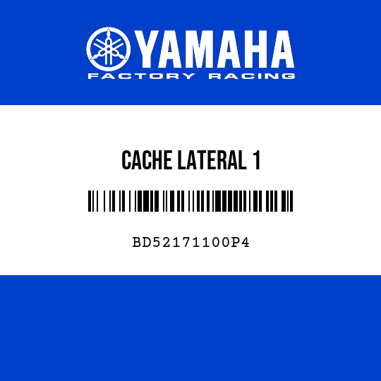 CACHE LATERAL 1