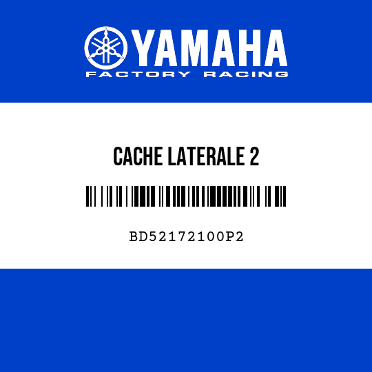 CACHE LATERALE 2