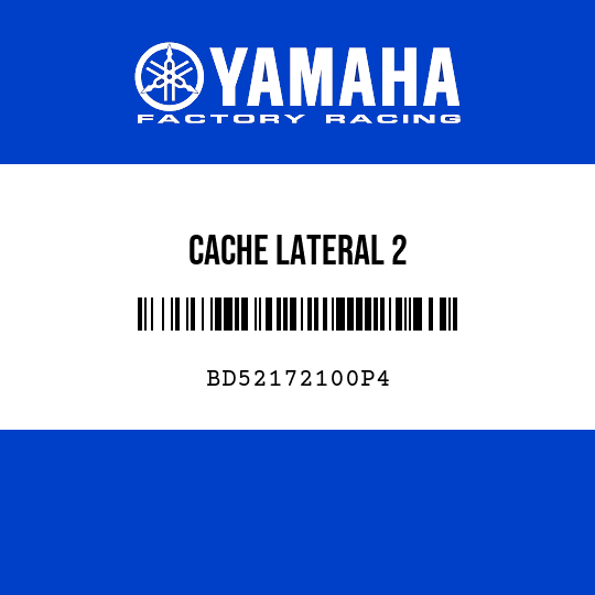 CACHE LATERAL 2