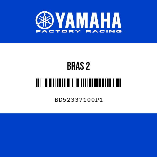 BRAS 2