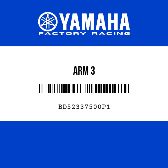 ARM 3