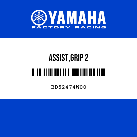 ASSIST,GRIP 2