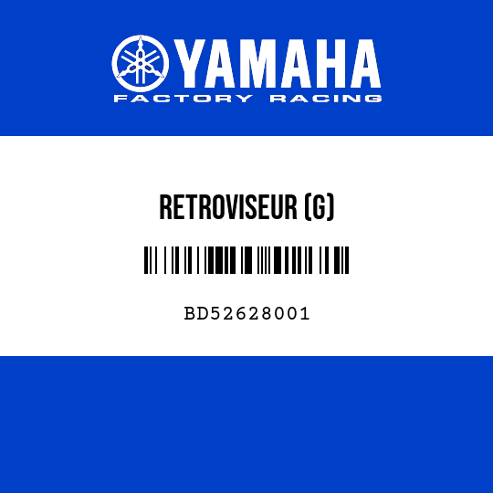 RETROVISEUR (G)