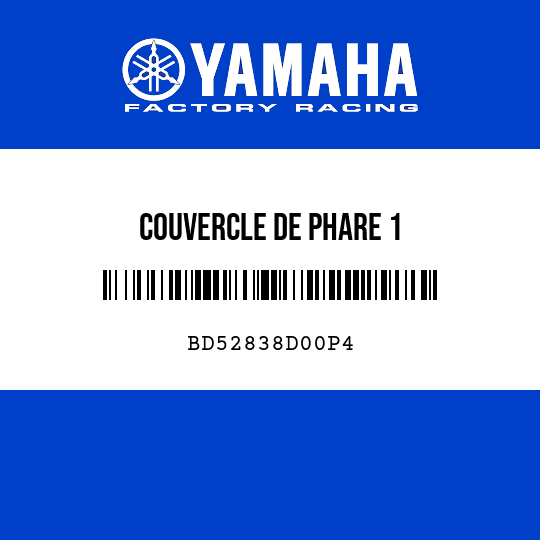 COUVERCLE DE PHARE 1