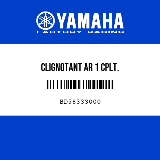 CLIGNOTANT AR 1 CPLT.