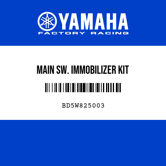 MAIN SW. IMMOBILIZER KIT