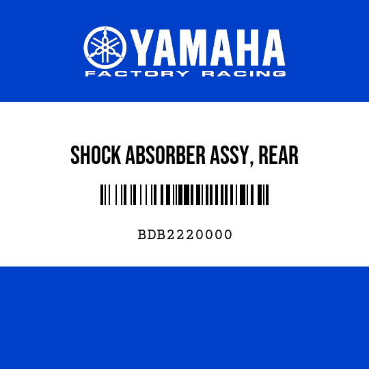SHOCK ABSORBER ASSY, REAR